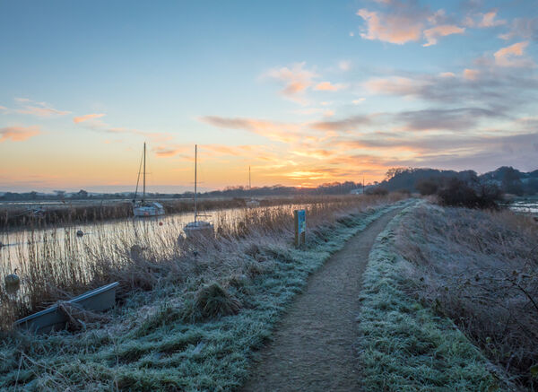 Wintry dawn