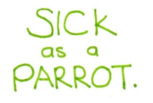 Week 53 - Sick as a Parrot