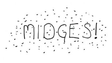 Week 50 - Midges!