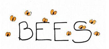 Week 20 - Bees
