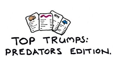 Week 52 - Top Trumps