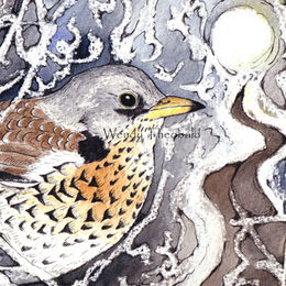 Fieldfare and Thicket