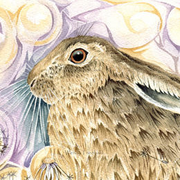 Brown hare