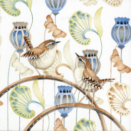 Refined Wrens