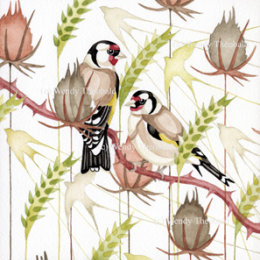 Feasting Goldfinches