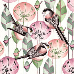 A trio of Long Tailed Tits