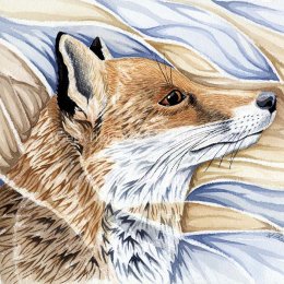 Friendly Fox