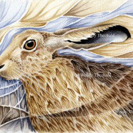 Handsome Hare