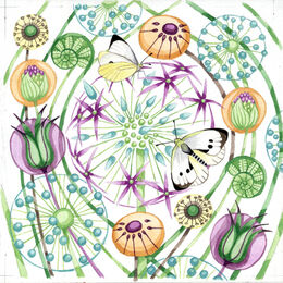 Butterflies and Blooms