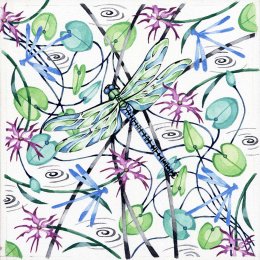 Dancing Dragonflies