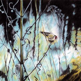 Goldfinch