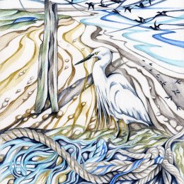 Little Egret