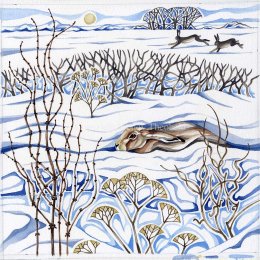 Winter Hare