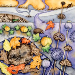 Hedgehog Hideaway