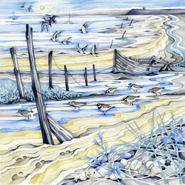 Shoreline walk