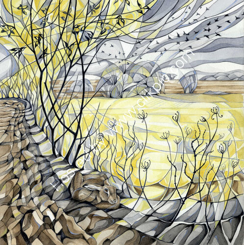 Field Edge