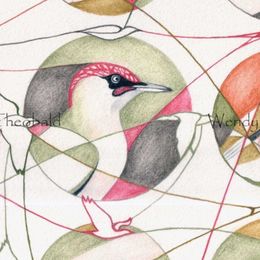 Ringed Birds