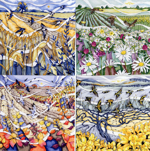 Birds in flight cards