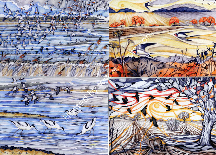 Birds in the landscape cards