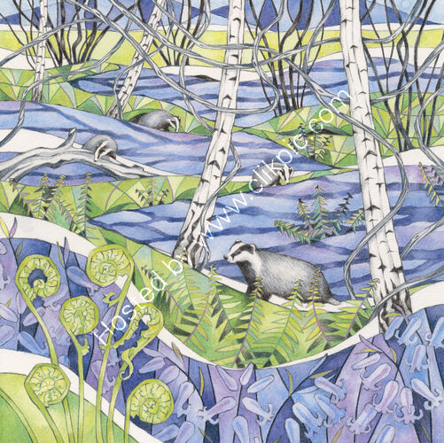 Bluebell Badgers