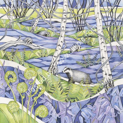 Bluebell Badgers