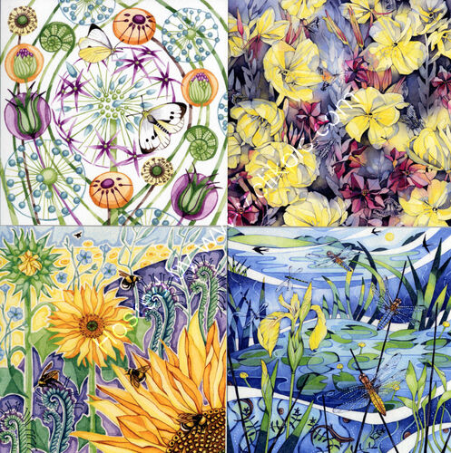 Flower and Insect cards