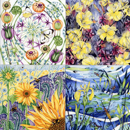 Flower and Insect cards