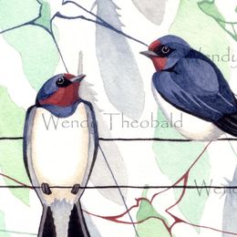 Seasonal Swallows