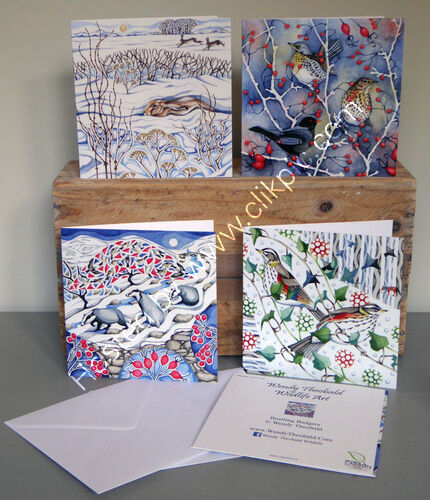 Example of the 4 card pack contents