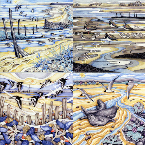 Coastal Wildlife cards