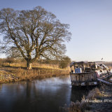 Frozen Canal