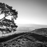 Monochrome Pewsey Vale