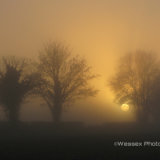 Wolfhall Sunset