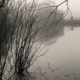 Wilton Water