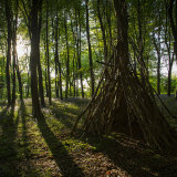 Strange Structures