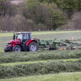 44ft of Grass