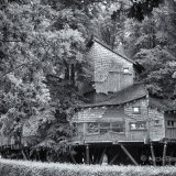 Alnwick Tree House