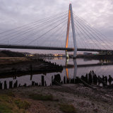 Grey Northern Dawn