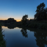 Summer Night