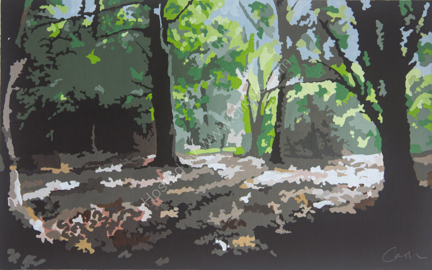 Woodland Walk