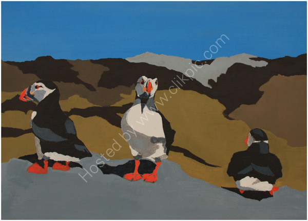 Puffin Collection 1