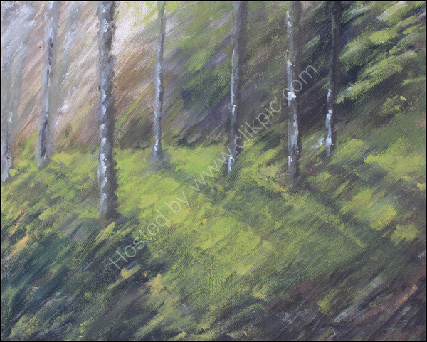 Woodland Collection 1