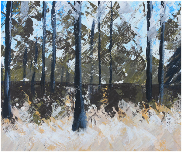 Woodland Collection 4