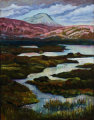 Pool complexes on Rhiconich Bog II, (SOLD)