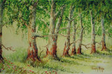 Untitled, Wendy Mills