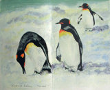 Penguins, Vivienne Lateu