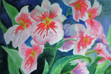 Untitled, Jill Akhurst