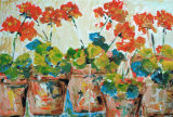 Untitled, Barbara Drinkwater