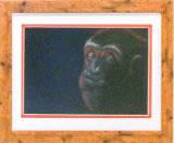 Ape Time, Julia Parker