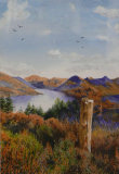 Amongst the heather, Bob Male